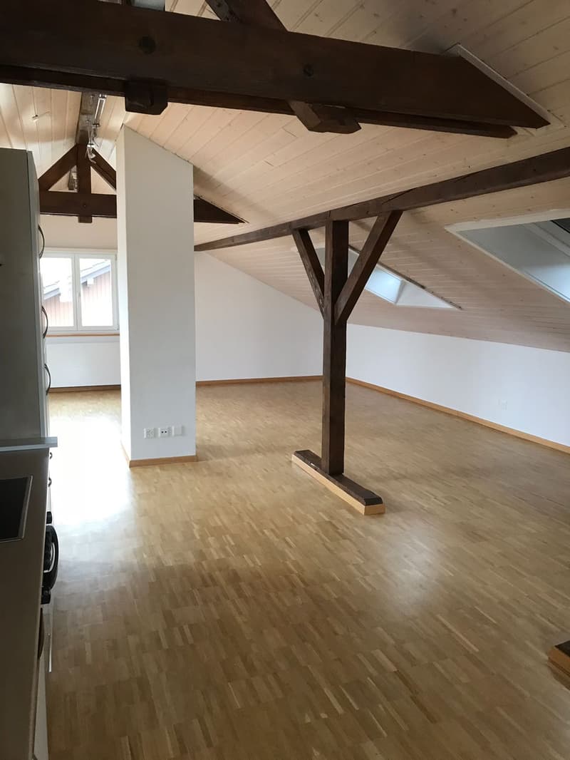 Modern loft apartment (2)