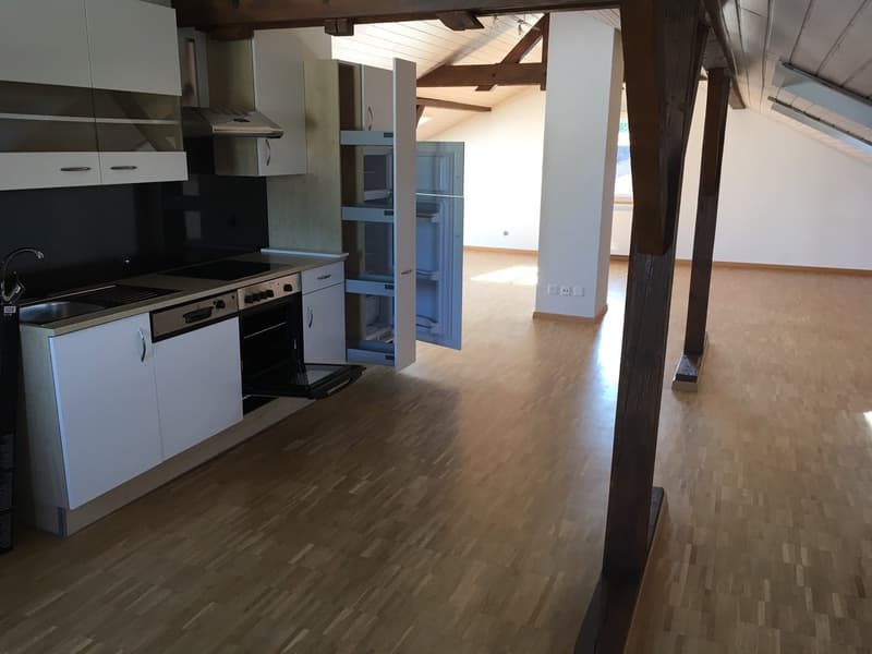 Modern loft apartment (1)