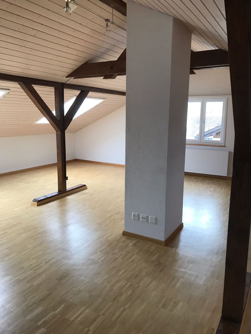 Modern loft apartment (4)