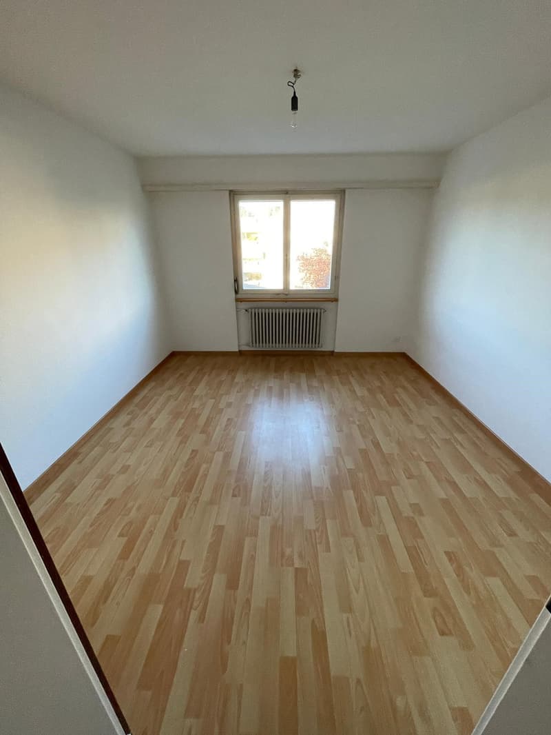 Bel appartamento 4 1/5 locali spazioso (6)