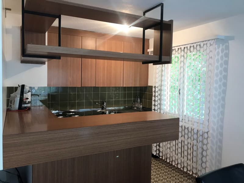 Bel appartamento 4 1/5 locali spazioso (2)