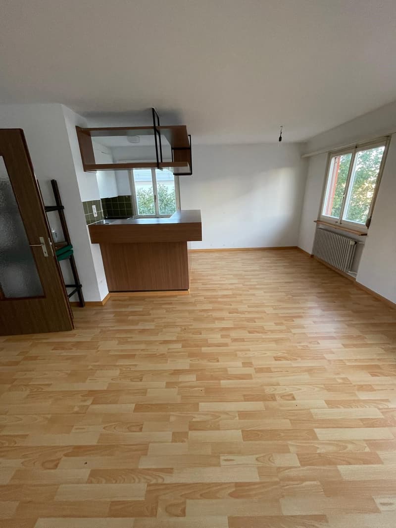 Bel appartamento 4 1/5 locali spazioso (5)