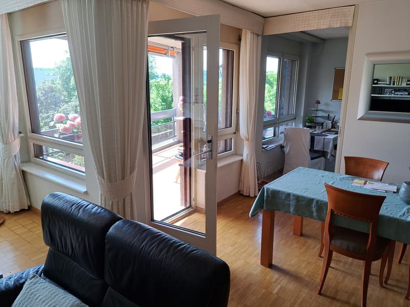 Spacious apartment in optimal location (3)