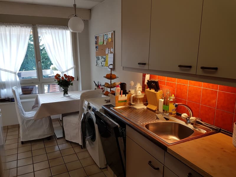Spacious apartment in optimal location (2)