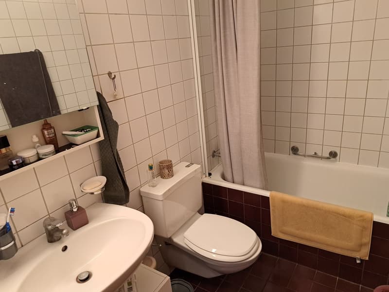 Spacious apartment in optimal location (7)