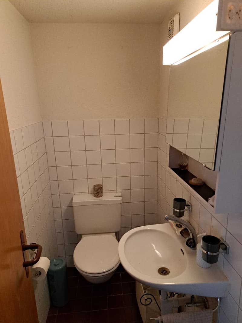 Spacious apartment in optimal location (8)