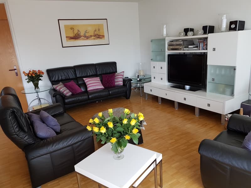 Spacious apartment in optimal location (5)