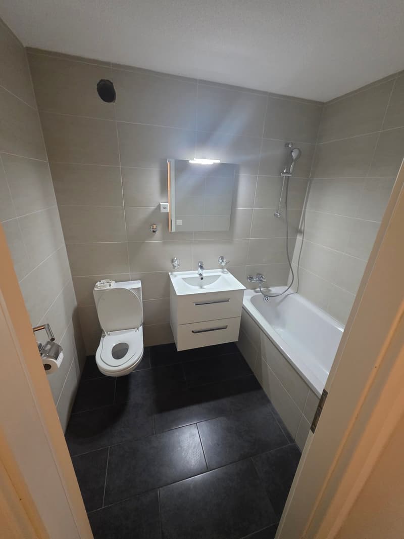 Moderne, helle 3.5 Zi. Wohnung zu vermieten! (2)