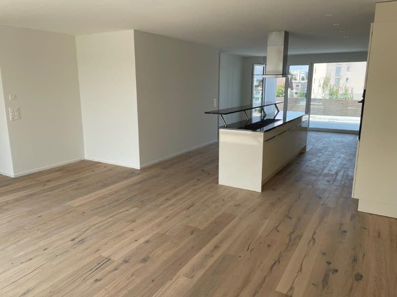 Appartamento mansardato da sogno con torre di lavaggio privata in affitto! (3)