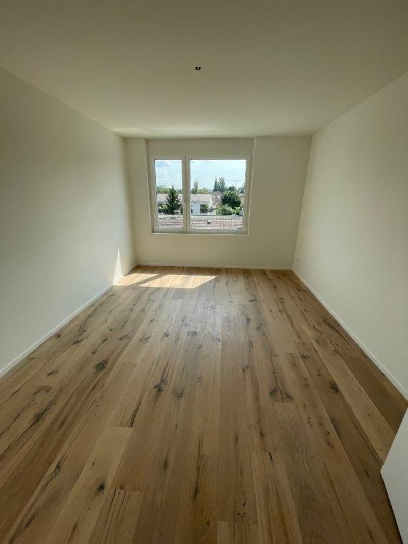 Appartamento mansardato da sogno con torre di lavaggio privata in affitto! (6)