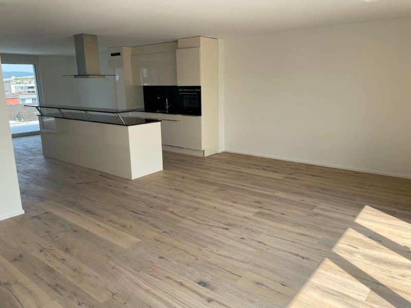 Appartamento mansardato da sogno con torre di lavaggio privata in affitto! (2)