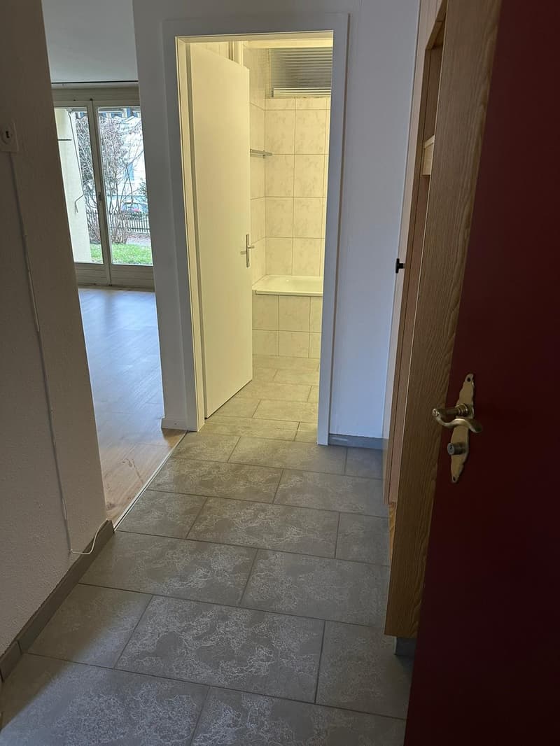Appartamento di 2 camere accogliente (2)
