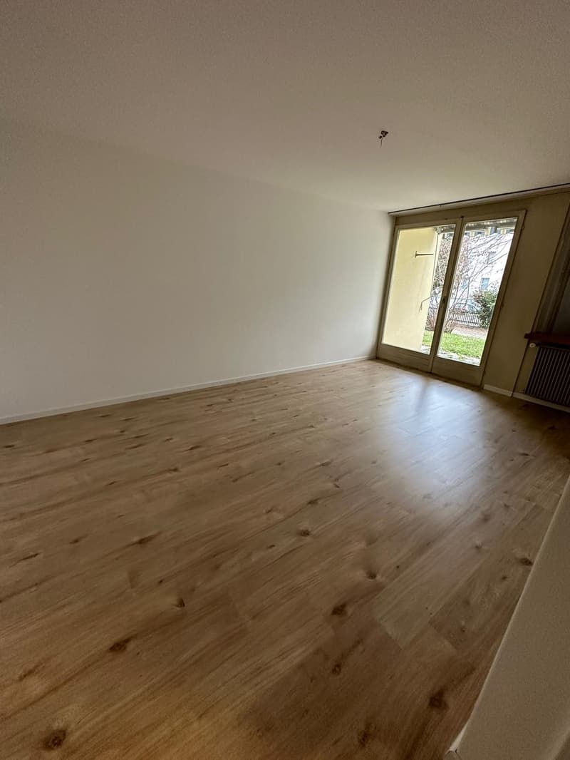Appartamento di 2 camere accogliente (3)
