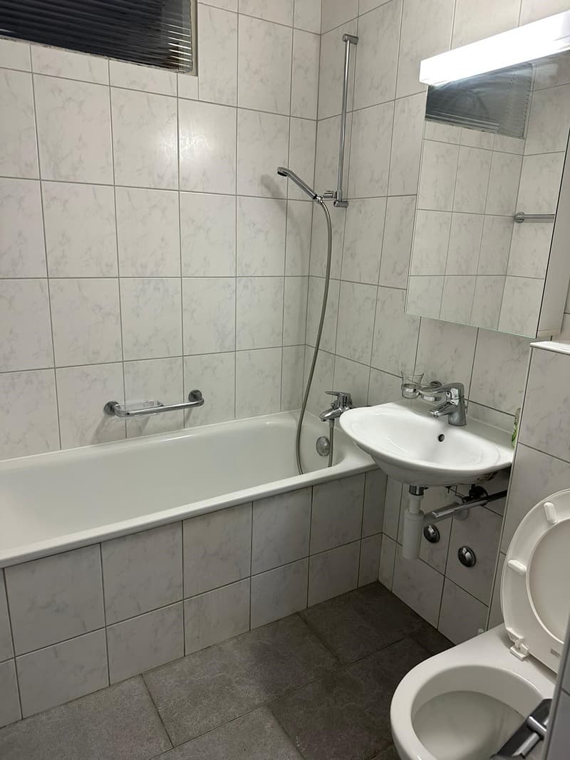 Appartamento di 2 camere accogliente (5)