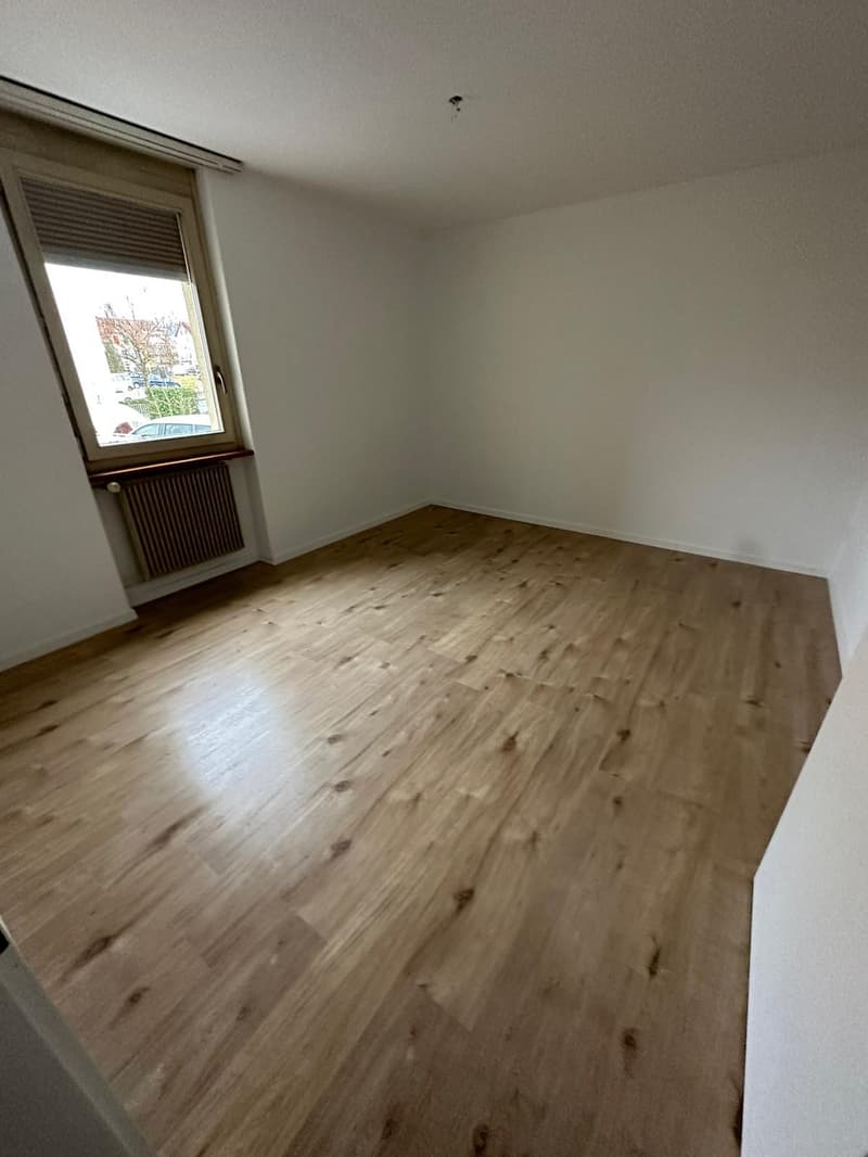 Appartamento di 2 camere accogliente (4)