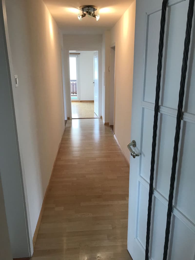 Appartamento tranquillo e bello di 4 camere con balcone (2)