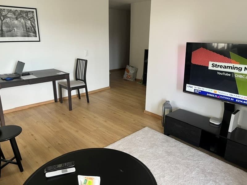 Beautiful and modern 2.5 room apartment with large terrace (30m2) and lake view (3)