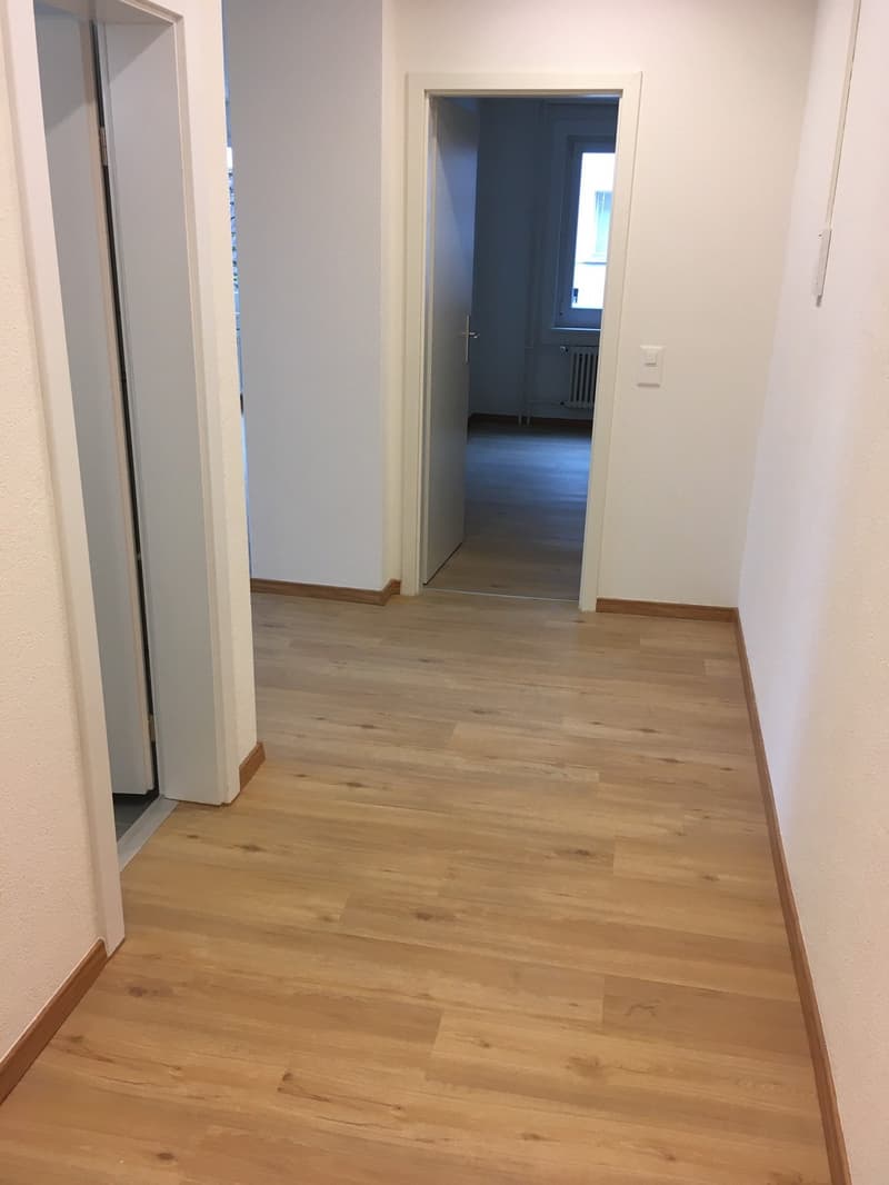 Beautiful and modern 2.5 room apartment with large terrace (30m2) and lake view (5)