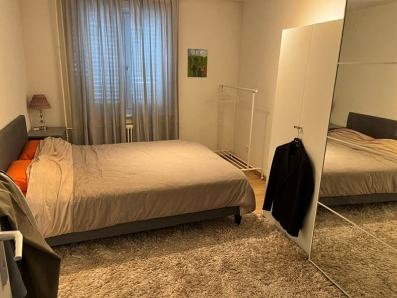 Beautiful and modern 2.5 room apartment with large terrace (30m2) and lake view (6)
