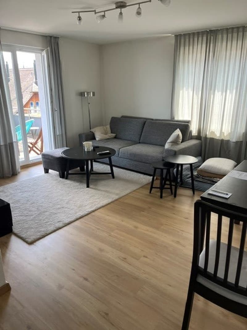 Beautiful and modern 2.5 room apartment with large terrace (30m2) and lake view (2)