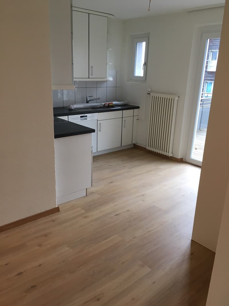 Beautiful and modern 2.5 room apartment with large terrace (30m2) and lake view (1)