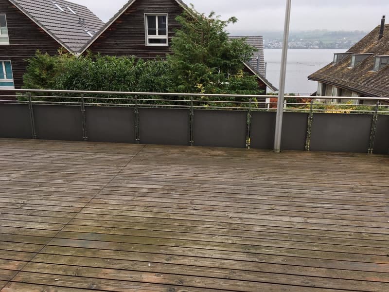 Beautiful and modern 2.5 room apartment with large terrace (30m2) and lake view (7)