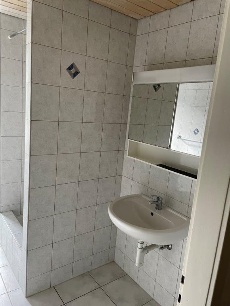 Ampio appartamento di 4,5 locali in affitto! (4)