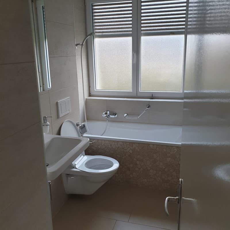 schöne und geräumige 2 Zimmer Wohnung (4)