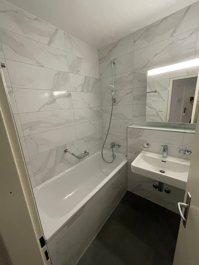 Sanierte und geräumige 3.5 Zi. Wohnung zu vermieten! (6)