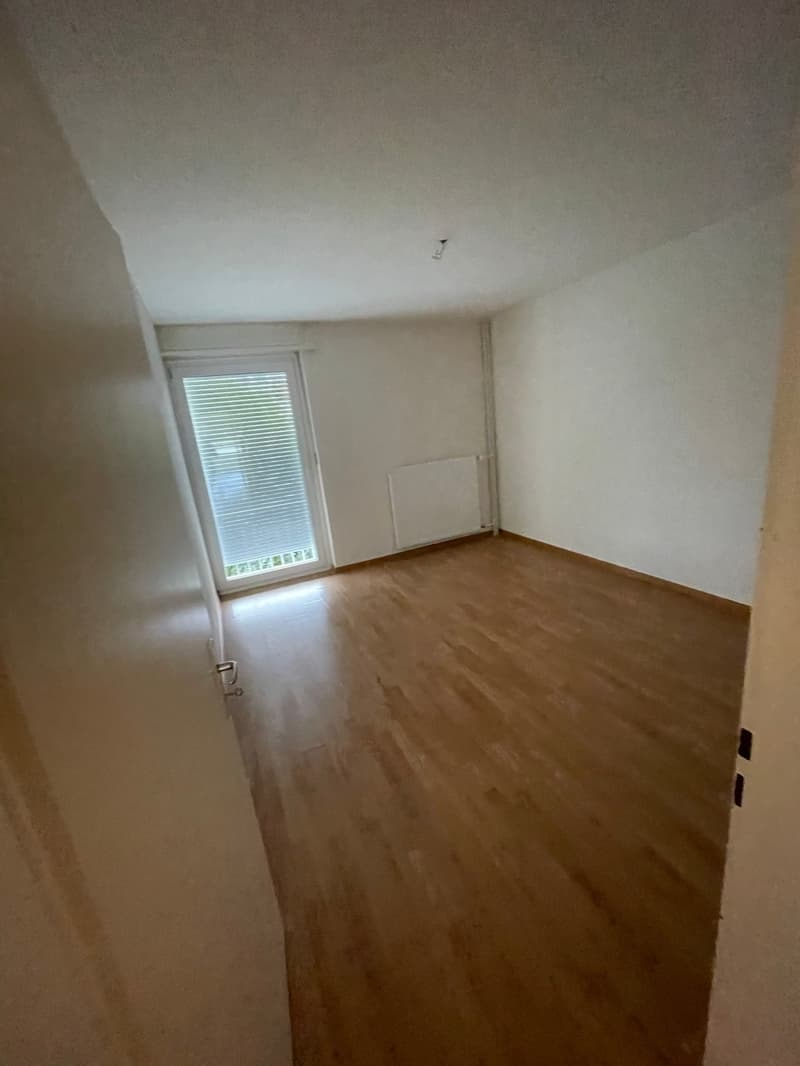 Sanierte und geräumige 3.5 Zi. Wohnung zu vermieten! (8)