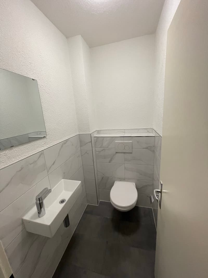 Sanierte und geräumige 3.5 Zi. Wohnung zu vermieten! (7)