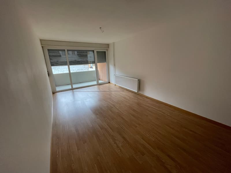 Sanierte und geräumige 3.5 Zi. Wohnung zu vermieten! (5)