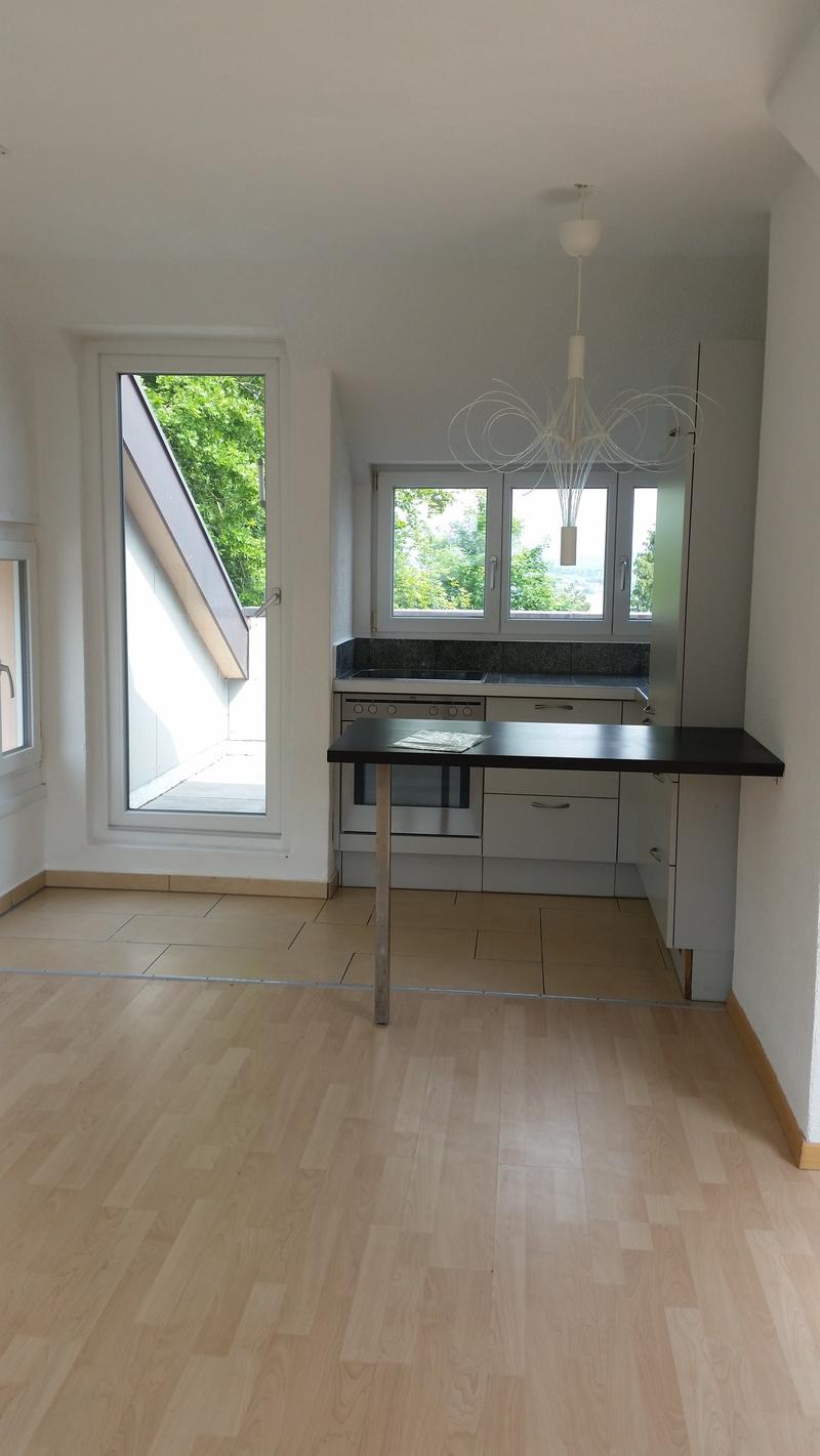 Traumhafte Aussicht auf den Bodensee! 2-Zi. Wohnung zu vermieten (6)