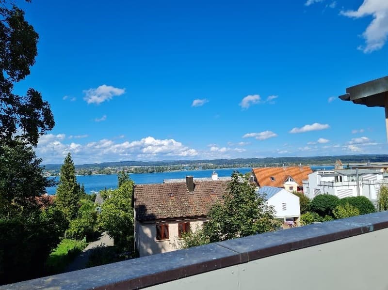 Traumhafte Aussicht auf den Bodensee! 2-Zi. Wohnung zu vermieten (1)