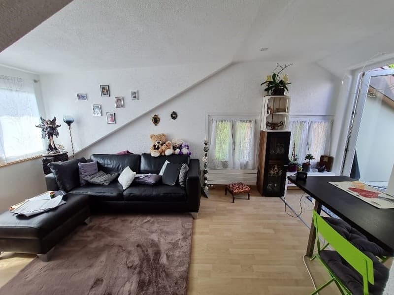 Traumhafte Aussicht auf den Bodensee! 2-Zi. Wohnung zu vermieten (3)