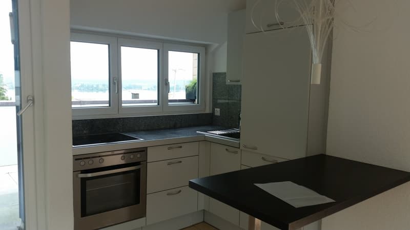 Traumhafte Aussicht auf den Bodensee! 2-Zi. Wohnung zu vermieten (7)