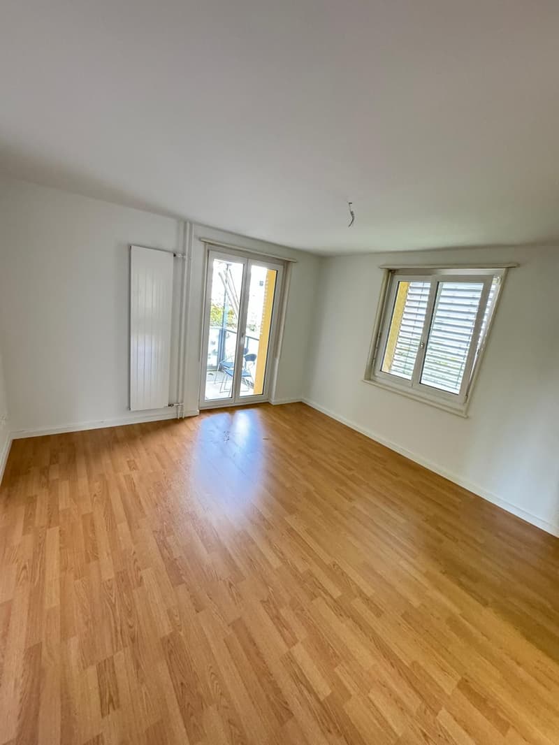 Attraktive und geräumige 3 Zi. Wohnung mit grossem Balkon, beim Untersee!! (5)