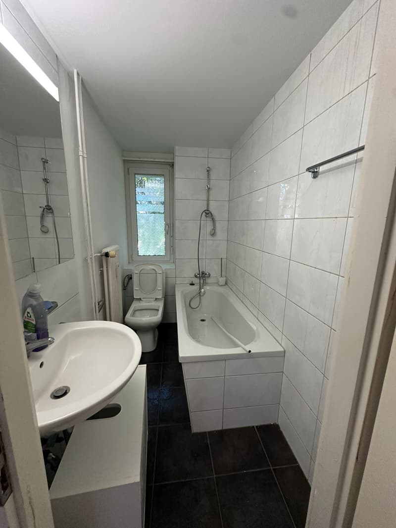 Attraktive und geräumige 3 Zi. Wohnung mit grossem Balkon, beim Untersee!! (3)