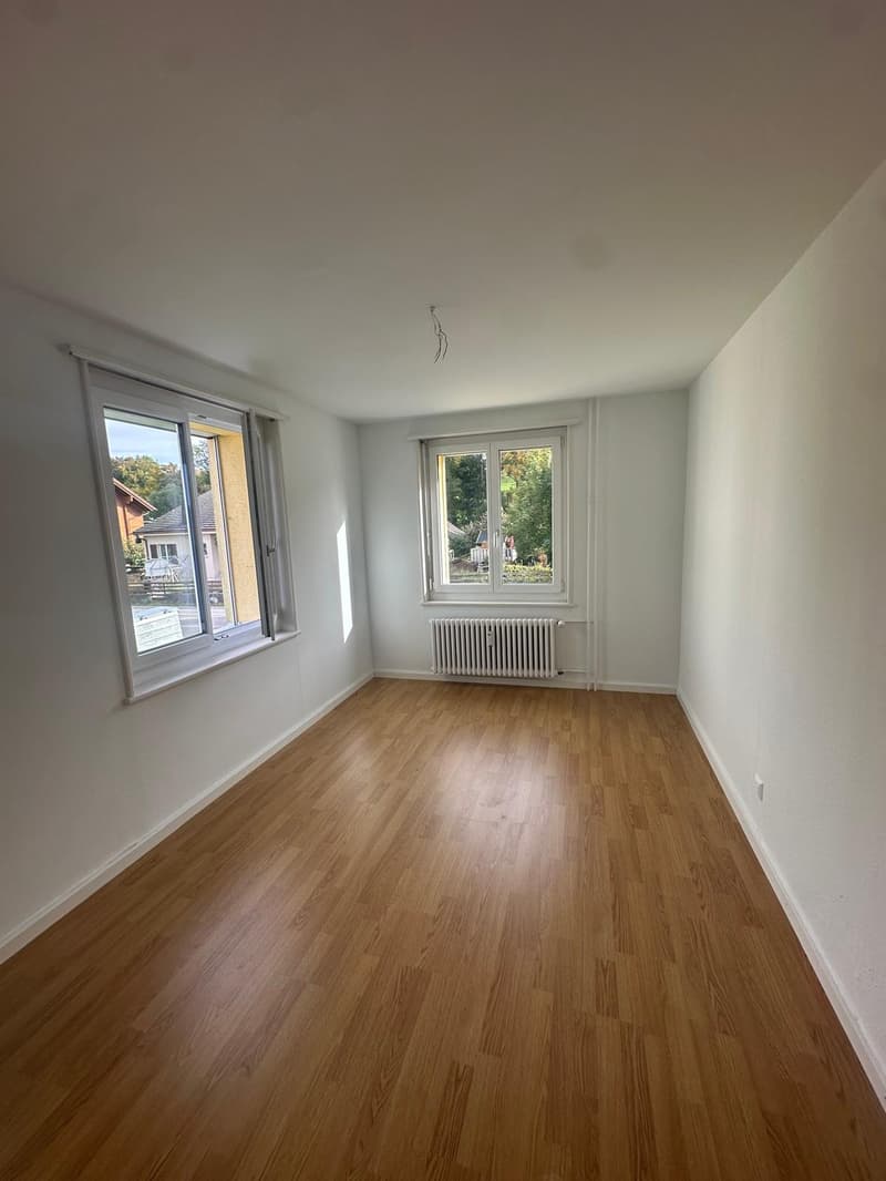 Attraktive und geräumige 3 Zi. Wohnung mit grossem Balkon, beim Untersee!! (6)