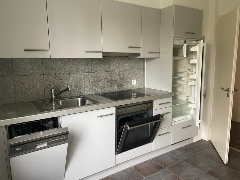 Attraktive und geräumige 3 Zi. Wohnung mit grossem Balkon, beim Untersee!! (2)