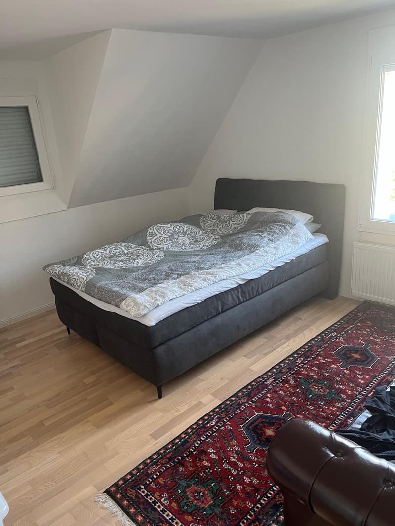 Appartement confortable de 3,5 pièces à côté du ruisseau (6)
