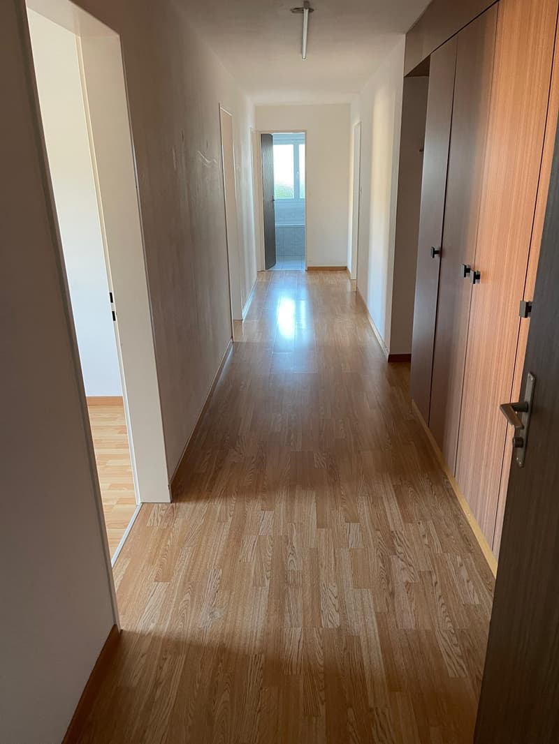 schöne und grosszügige 4 1/5 Zimmer-Wohnung (3)