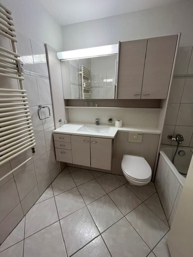 schöne und geräumige 3.5 Zimmer Wohnung (5)