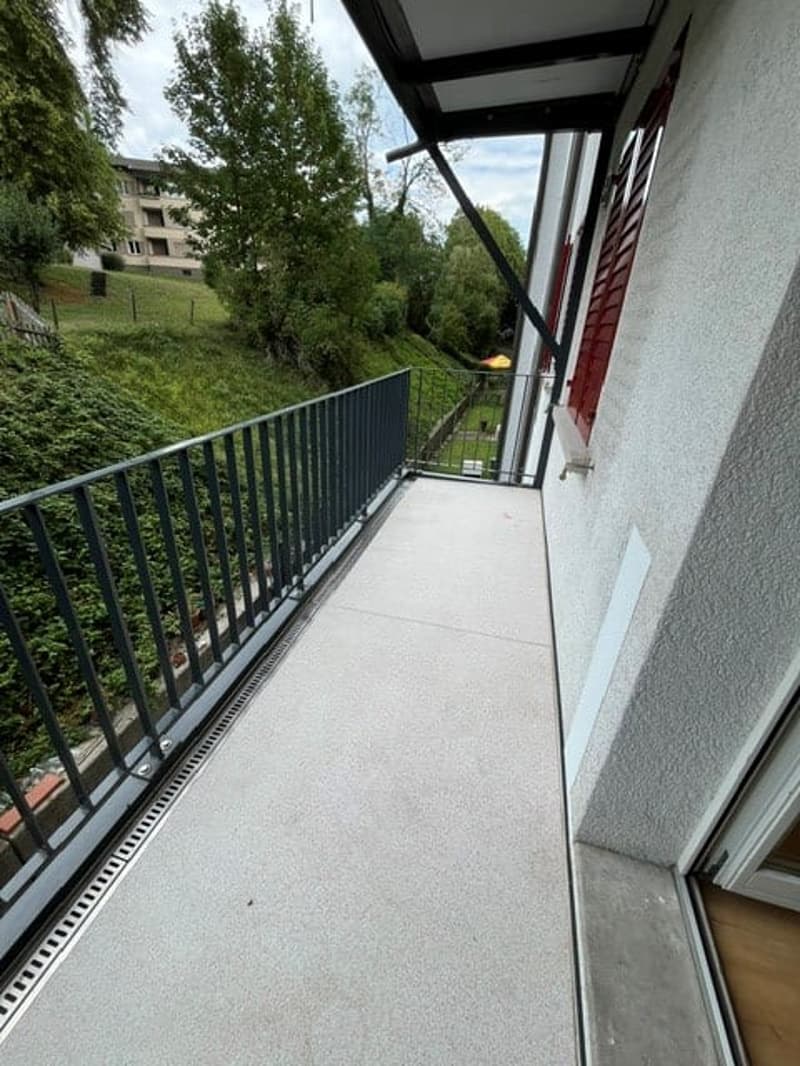 schöne und geräumige 3.5 Zimmer Wohnung (6)