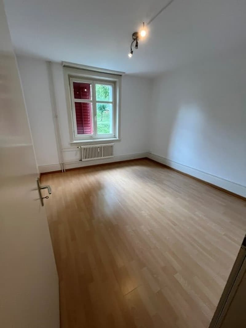 schöne und geräumige 3.5 Zimmer Wohnung (3)
