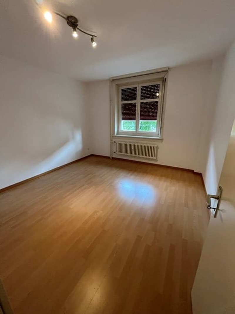 schöne und geräumige 3.5 Zimmer Wohnung (2)