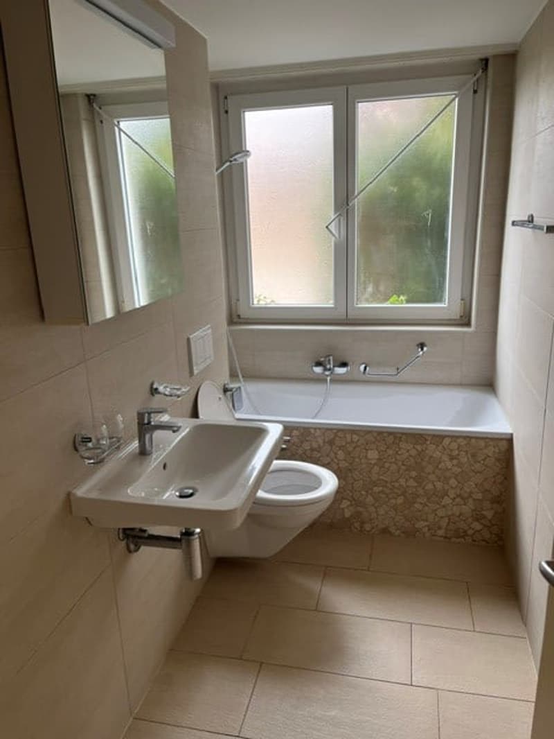 schöne und geräumige 2 Zimmer Wohnung (4)