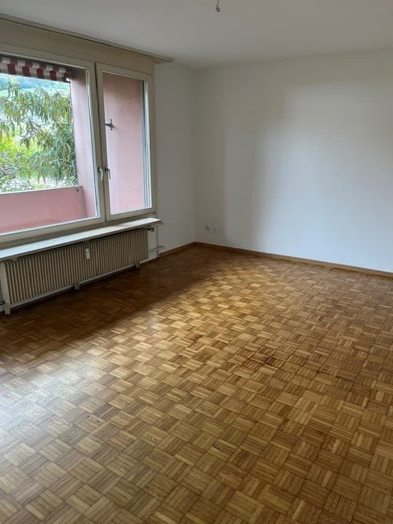 schöne und geräumige 2 Zimmer Wohnung (2)