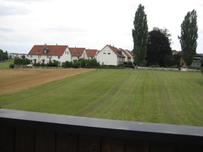 Vivere con vista sul verde (16)