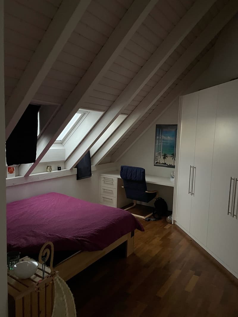 3 1/2-Zimmer-Maisonette-Wohnung mit traumhafter Aussicht (17)